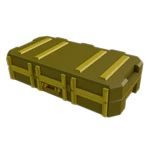 Skin Case 2